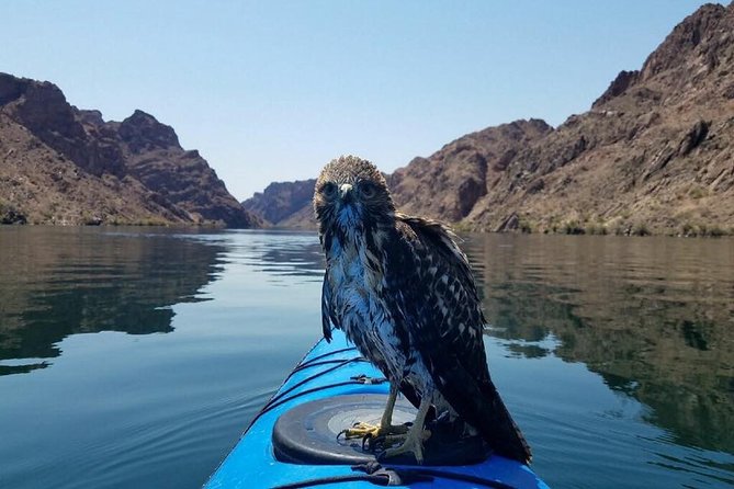 Grand Canyon Helicopter Flight with Emerald Cave Kayak Tour - Emerald Cove and Emerald Cave kayaking: green water, calm confidence, and great photos