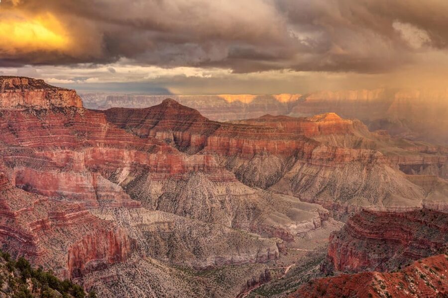 Grand Canyon Hoover Dam and Joshua Tree VIP Small Group Tour - Skywalk: included timing, but not included cost