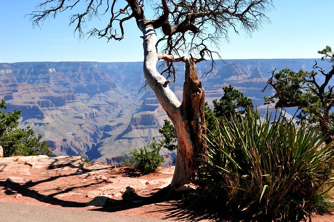 Grand Canyon National Park VIP Tour from Las Vegas - Hoover Dam bridge stop and Route 66 Kingman breaks up the drive