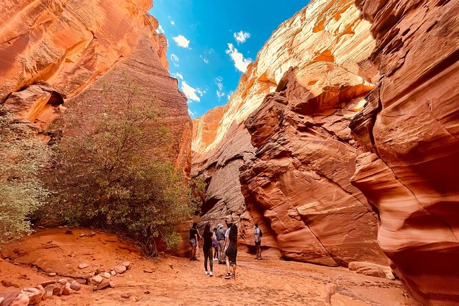 Grand Canyon South Rim, Antelope Canyon and Horseshoe Bend Tour - Horseshoe Bend: Maximum Drama for Minimal Walking