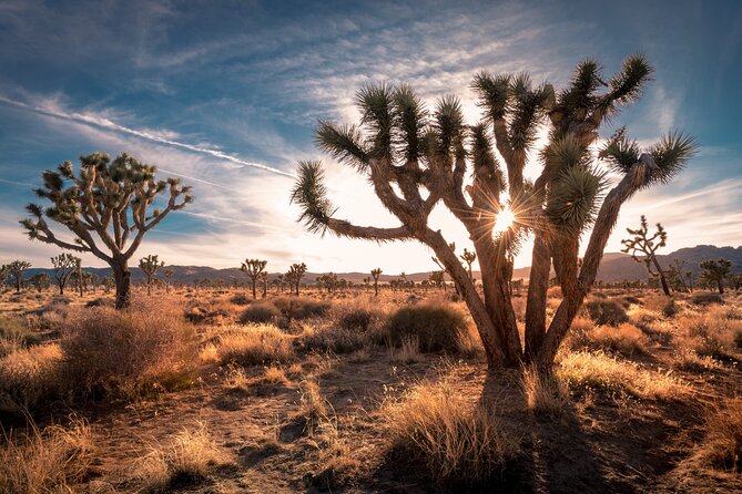 Grand Canyon West, Hoover Dam and Seven Magic Mountains & LV Sign - Hoover Dam in 30 minutes: enough time to understand and photograph