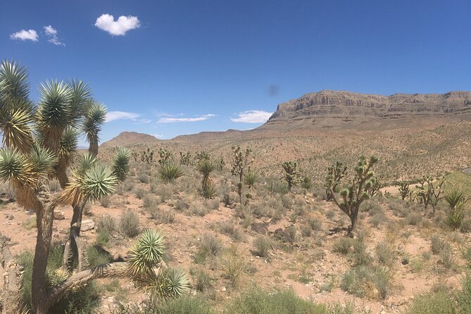 Grand Canyon Western Ranch Overnight Stay by Helicopter & Ground - Dinner, Campfire, and the Small Moments That Make It Feel Like a Stay