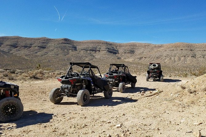 Guided Mojave Desert Off Road RZR Adventure - Stop 1: Mojave Desert driving, where the thrill happens