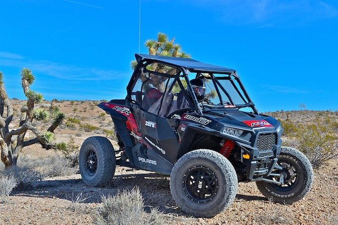 Guided Mojave Desert Off Road RZR Adventure - The 4-hour flow on the day: what happens when