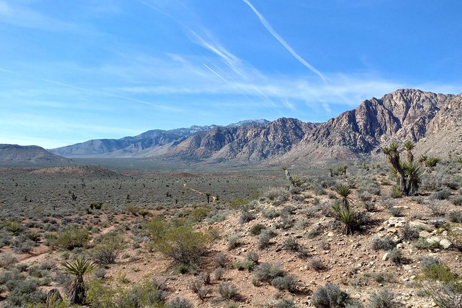 Guided Mountain Bike Tour of Mustang Trail in Red Rock Canyon - How guides steer safety and skill level (the names that kept popping up)
