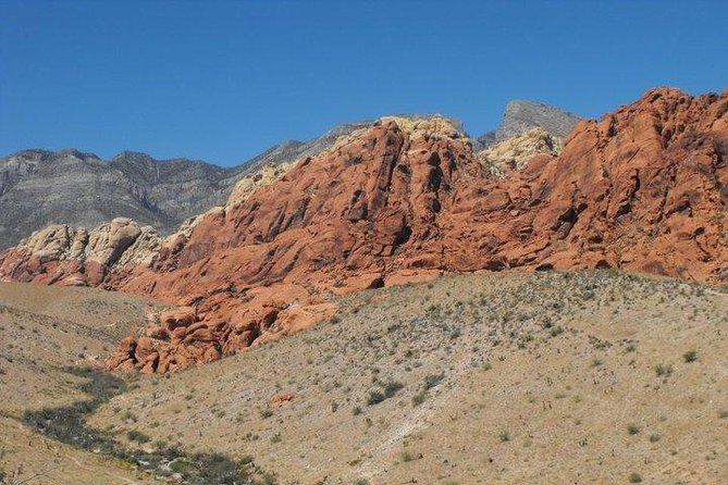Guided Mountain Bike Tour of Mustang Trail in Red Rock Canyon - What the ride feels like: flowy single-track with desert reality