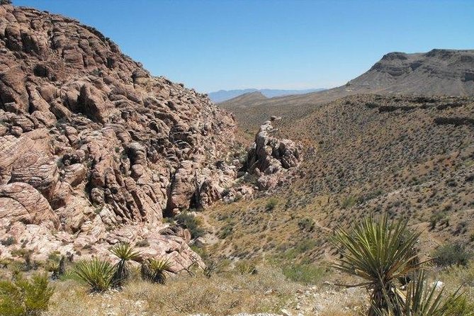 Guided Mountain Bike Tour of Mustang Trail in Red Rock Canyon - Price and what you actually get for $149.99