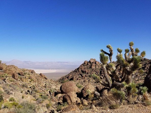 Guided or Self-Guided Road Bike Tour of Red Rock Canyon - Guided versus self-guided: picking the right level of help