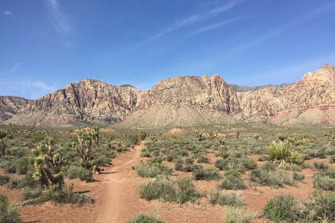 Guided or Self-Guided Road Bike Tour of Red Rock Canyon - Choosing the right bike: Gary Fisher hybrid versus Tarmac or Roubaix