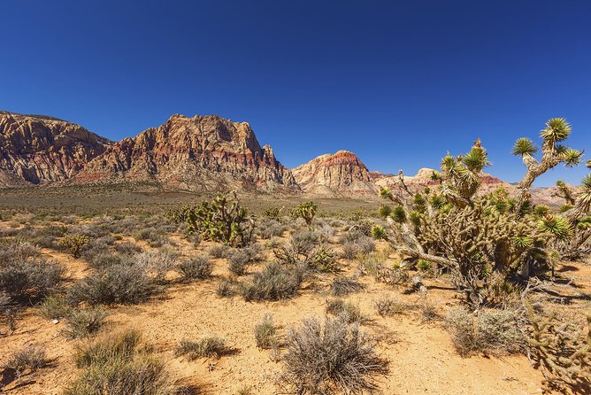 Half-Day Electric Bike Tour of Red Rock Canyon - From Treasure Island to Red Rock Canyon Scenic Byway