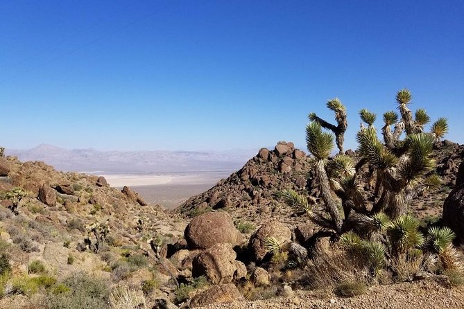 Half-Day Electric Bike Tour of Red Rock Canyon - The e-bike reality: pedal assist, not a throttle