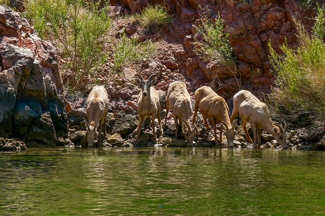Half-Day Emerald Cave Kayak Tour: Triple Cave Adventure - Entering Black Canyon Narrows: The Easy Part Starts at Willow Beach