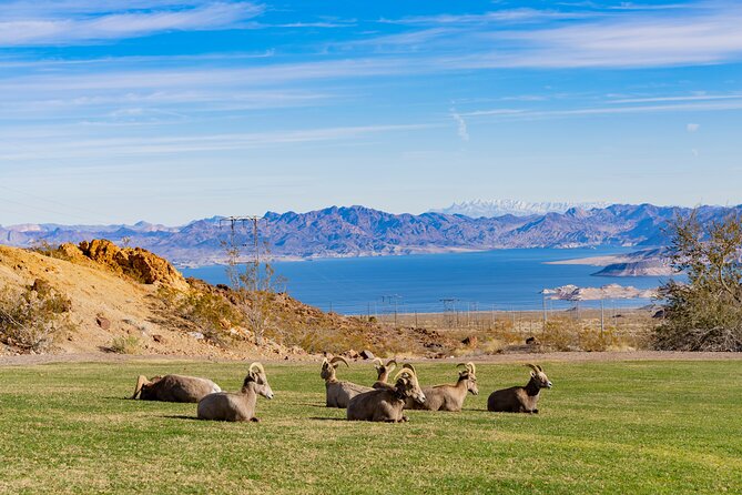 Hoover Dam and Lake Mead Self-Guided Audio Tour - Boulder City detour: Hoover Dam Museum and the quick museum hit