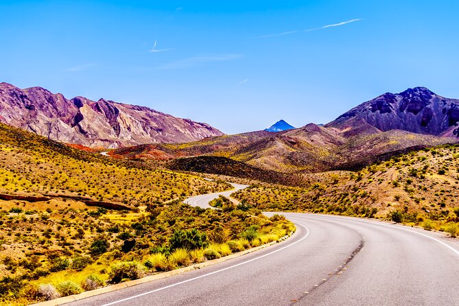 Hoover Dam and Lake Mead Self-Guided Audio Tour - Hemenway Park and Boulder Beach: wildlife and water time
