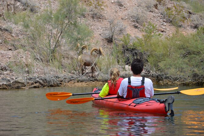 Hoover Dam & Hot Springs Kayak Tour with Lunch & Expert Guide - Arizona Hot Springs and the Sauna Cave Soak