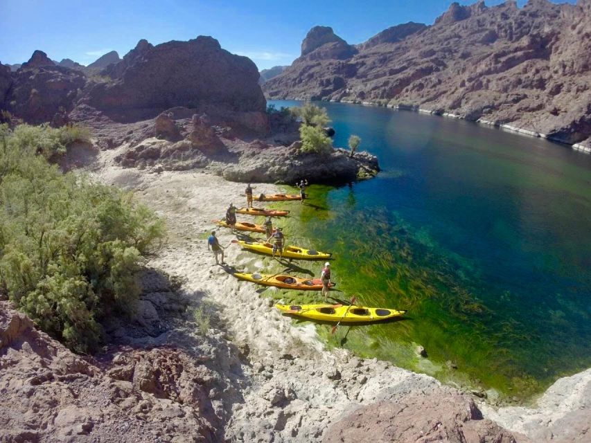 Hoover Dam Kayak Tour & Hike - shuttle from Las Vegas - Wildlife on the Colorado: spotting chances are part of the point