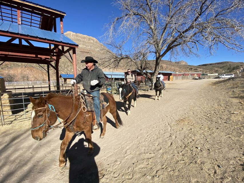 Horseback Ride thru Joshua Tree Forest with Buffalo & Lunch - A Joshua Tree Forest ride with buffalo, plus lunch and cowboy tunes