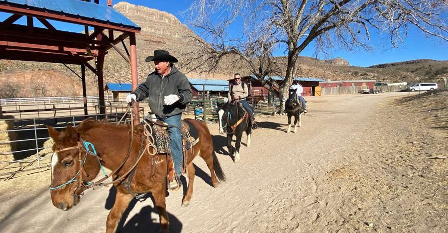 Horseback Ride thru Joshua Tree Forest with Buffalo & Lunch - The crew that makes or breaks a horseback day