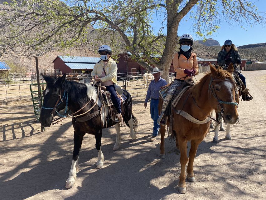 Horseback Ride thru Joshua Tree Forest with Buffalo & Lunch - Price and value: is $269 fair for Joshua Tree, buffalo, and lunch?