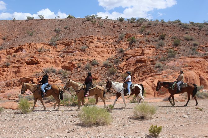 Horseback Riding with Breakfast in Las Vegas - Horses, Gear, and First-Timer Comfort (Without Pretending It Is Easy)