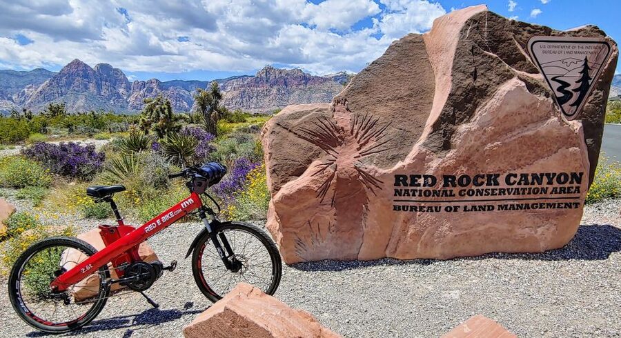 Las Vegas 3-Hour Red Rock Canyon Electric Bike Tour - What you’ll actually see: sandstone, rock engravings, and desert wildlife