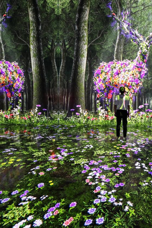 Las Vegas: Arte Museum Las Vegas Immersive Art Exhibition - Price and value: what $50 really buys