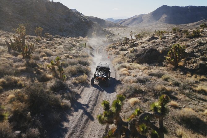 Las Vegas ATV Tour with Free Transportation - Should you book this Las Vegas ATV tour?