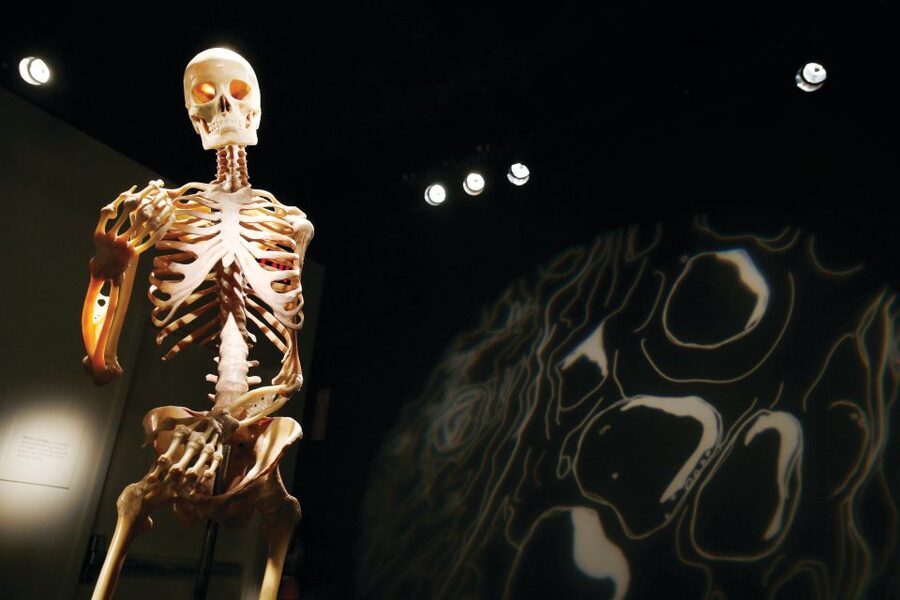Las Vegas: BODIES | The Exhibition at the Luxor - Comfort, crowd level, and why the Luxor location changes the vibe