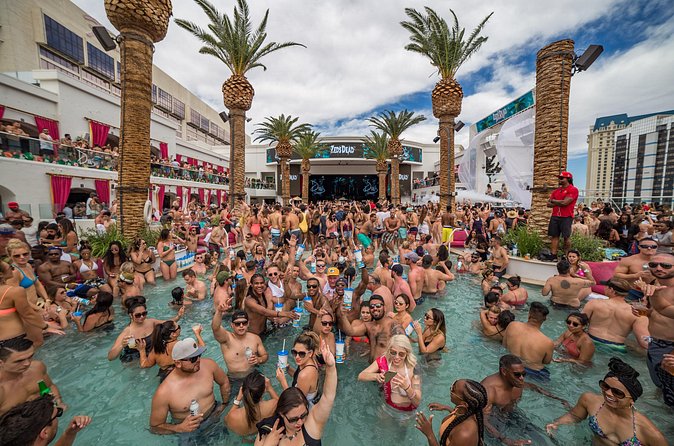 Las Vegas Day Club Crawl & Party Bus VIP Tour - Drink Specials and What Might Feel Different at the Pools