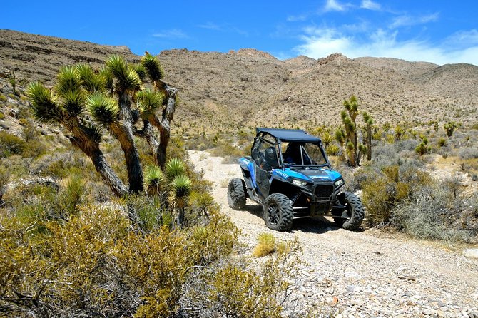 Las Vegas Desert RZR Adventure Tour at the Pioneer Saloon - Price and Logistics: How the $184.99 Adds Up