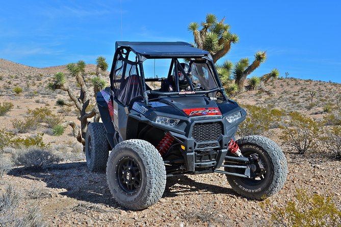 Las Vegas Desert RZR Adventure Tour at the Pioneer Saloon - Goodsprings on the RZR: Town Energy Meets Desert Driving