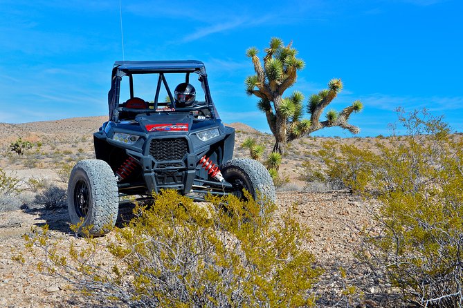 Las Vegas Desert RZR Adventure Tour at the Pioneer Saloon - Driver Rules, Minimum Ages, and Fit for Kids