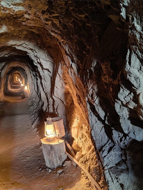 Las Vegas: El Dorado Canyon, Ghost Town and Gold Mine Tour - Who should book this tour, and who should think twice
