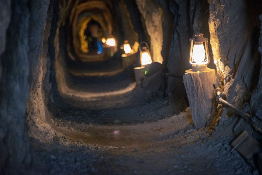 Las Vegas: Eldorado Canyon Gold Mine Tour - The desert “classroom”: plants, terrain, and the look of the Southwest