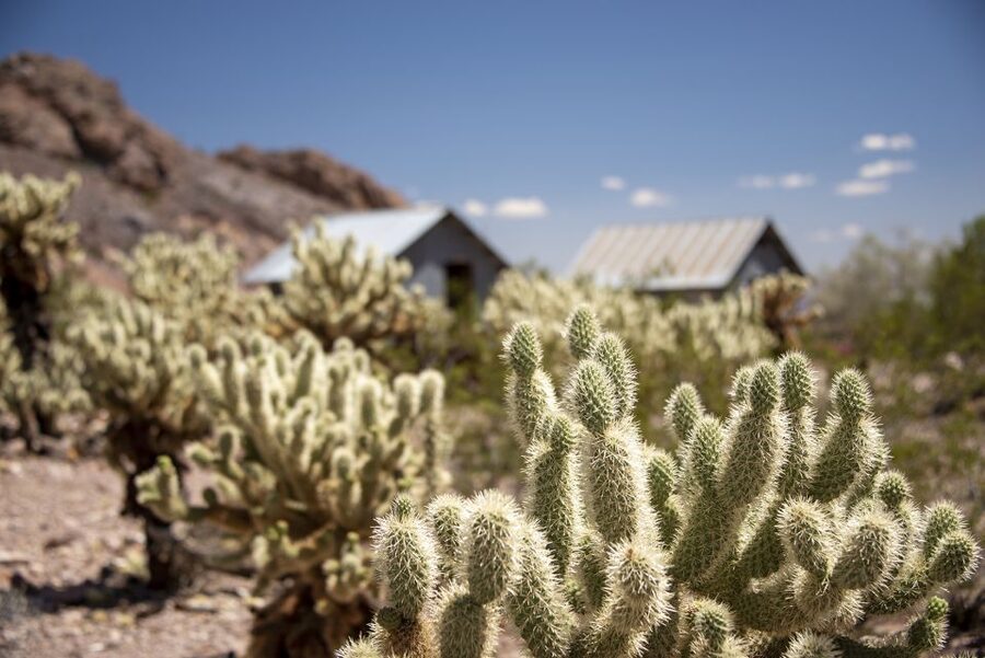 Las Vegas: Eldorado Canyon Gold Mine Tour - Techatticup Gold Mine: walking underground where mining happened