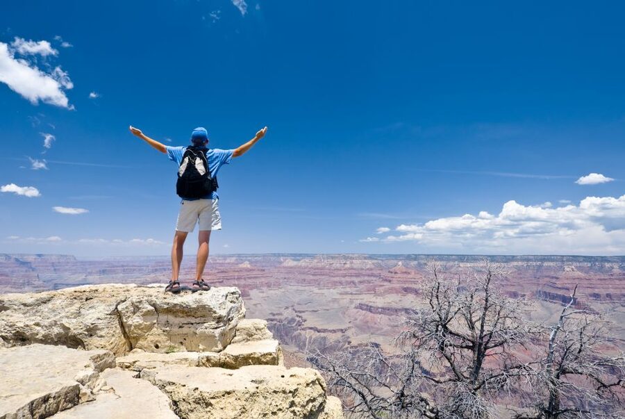 Las Vegas: Grand Canyon National Park Day Tour - Visitor Center lunch and free time, where the day’s rhythm becomes yours