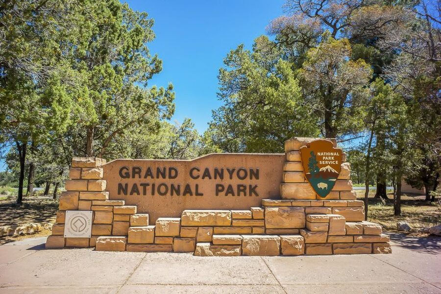 Las Vegas: Grand Canyon National Park South Rim Guided Tour - Kaibab National Forest to the South Rim: What Your Guide Helps You Notice