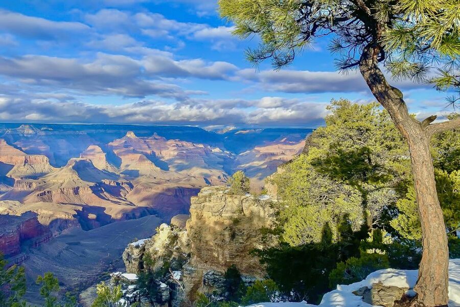 Las Vegas: Grand Canyon National Park South Rim Guided Tour - Price, Value, and the Non-US Resident Fee You Must Watch