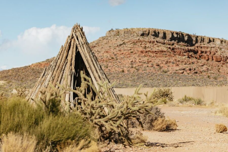 Las Vegas: Grand Canyon West Rim VIP Luxury Small Group Tour - Mojave Desert and Joshua Tree Forest: The Drive Part Matters