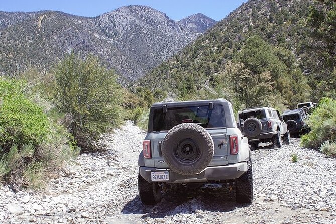 Las Vegas Guided Off-Road Adventure to Callville Wash - Food, Water, and Comfort That Make the Day Feel Easier