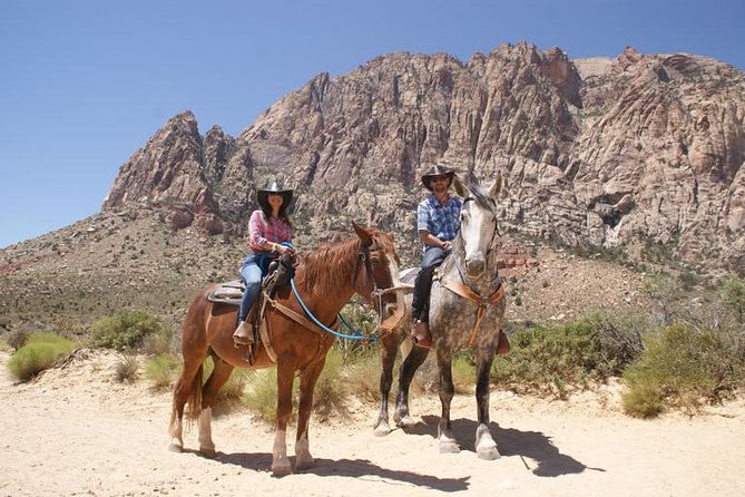 Las Vegas Horseback Ride with Meal - Key Points to Know Before You Go