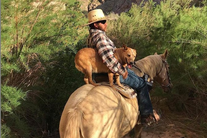 Las Vegas Horseback Ride with Meal - Price and Value: What $129.99 Gets You