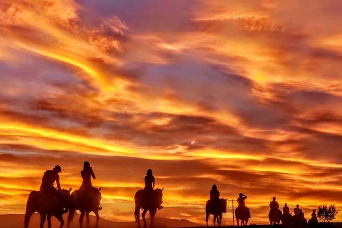 Las Vegas Horseback Ride with Meal - My Take: Should You Book This Las Vegas Horseback Ride With Meal?