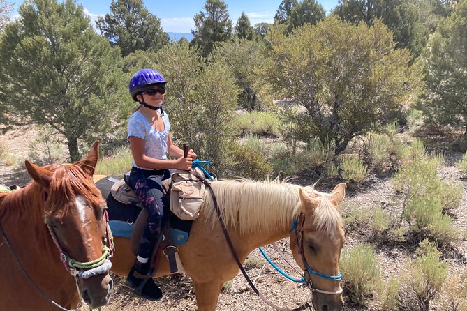 Las Vegas Horseback Riding Adventure - What the ride feels like: pace, safety, and walk-only trails