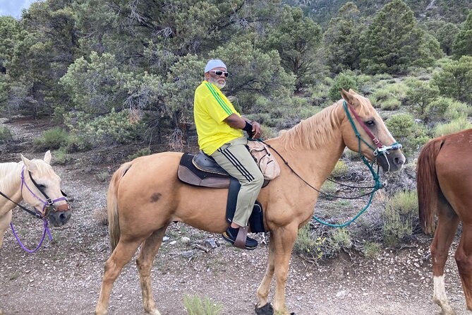 Las Vegas Horseback Riding Adventure - Mountain ride near Las Vegas: rolling hills and calmer terrain