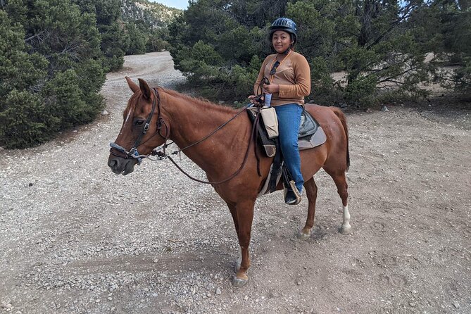 Las Vegas Horseback Riding Adventure - Desert ride: views, easy-going pacing, and great for most riders