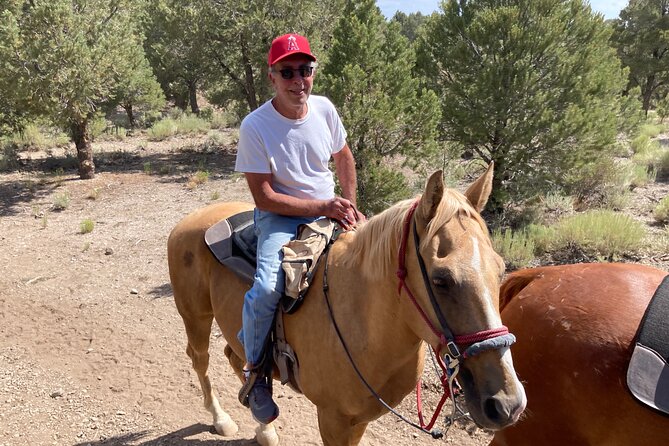 Las Vegas Horseback Riding Adventure - The first step is a real lesson, not guesswork