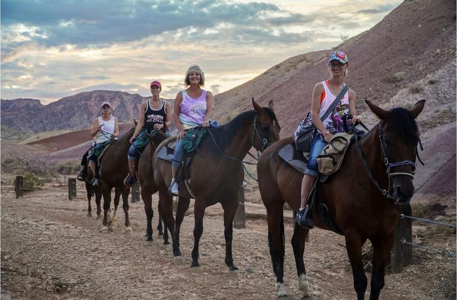Las Vegas: Horseback Riding Tour with Lunch - Wildlife spotting in Nevada: what you might actually see