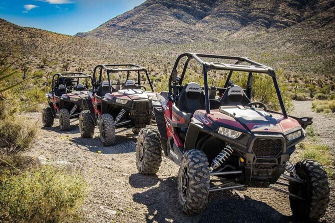 Las Vegas Mini Desert RZR Adventure - Key Highlights Worth Planning For