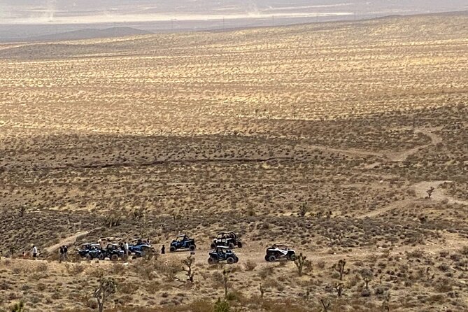 Las Vegas Mini Desert RZR Adventure - Goodsprings Trails: Your Main Driving Time in Rugged Terrain